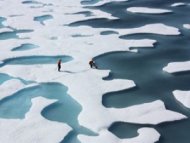 北冰洋10年內消失 學者憂心
