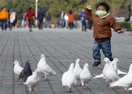 A boy looks at pigeons at a public park in People Square, downtown Shanghai April 6, 2013. REUTERS/Aly Song