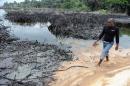 A man walks near spilled crude oil in the waters of the Niger Delta swamps of Bodo, a village in the famous Nigerian oil-producing Ogoniland, which hosts the Shell Petroleum Development Company, on June 24, 2010