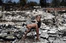 A deer statue stands amid the remains of a home in a neighborhood destroyed by the Clayton Fire at Lower Lake in California