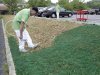 Turf painting spreads as drought ravages lawns