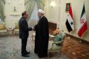 Iran's President Hassan Rouhani meets with Syrian Prime Minister Emad Khamis in Tehran
