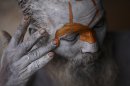 Photos: Hindu devotees celebrate Festival to Shiva
