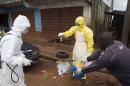 Health workers in protective equipment handle a sample taken from the body of someone who is suspected to have died from Ebola virus, near Rokupa Hospital