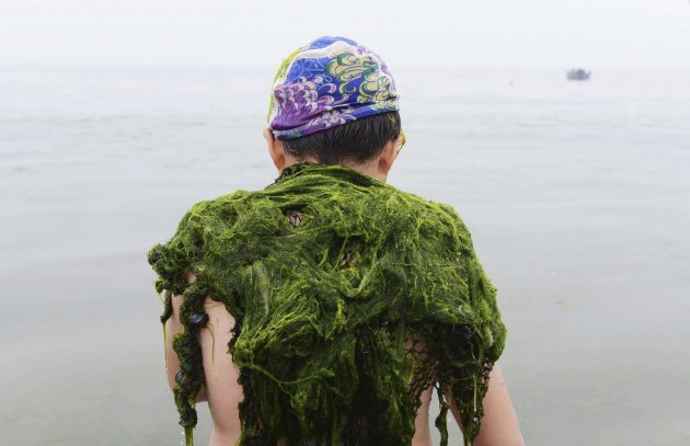 Algae is pictured on the shoulders of a swimmer along the seaside in Qingdao