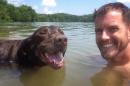 Man takes his dog diagnosed with cancer on one last epic road trip
