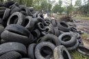 A pile of illegally dumped tires is seen during a blight removal project in the Brightmoor neighborhood in Detroit