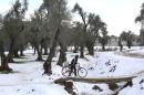 A Syrian man walks with his bicycle on a small bridge in the city of Douma, a day after a major winter storm hit the region on January 8, 2015