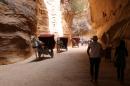 Under new regulations, any owner who exhausts or mistreats animals at Jordan's Petra tourist site faces having permission to work at the site withdrawn