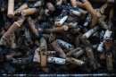 Used cigarette butts spill out of a full ashtray on the wall of a shopping centre in Warrington