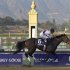Royal Delta, ridden by jockey Mike Smith, crosses the finish line to win the Breeders' Cup Ladies' Classic horse race, Friday, Nov. 2, 2012, Arcadia, Calif. (AP Photo/Julie Jacobson)