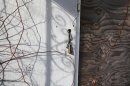 The front door of a home is seen padlocked and boarded up in Brentwood, New York