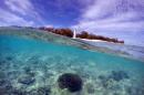 A piece of coral can be seen in the reef flats in front of the lighthouse on Lady Elliot Island and 80 kilometers north-east from the town of Bundaberg in Queensland, Australia