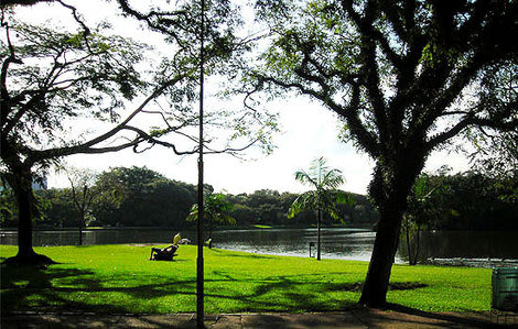 Area verde do Parque do Ibirapuera
