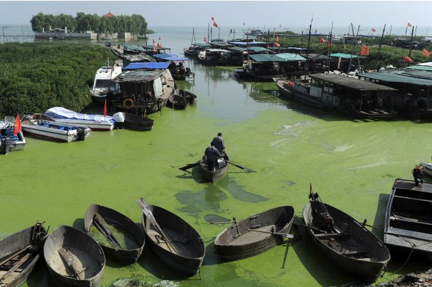 Fishermen row a boat in Chaohu Lake, filled with blue-green algae, in Hefei