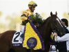 Jockey Velazquez celebrates aboard horse Wise Dan after his first place win in the running of the Breeders' Cup Mile thoroughbred horse race in Arcadia