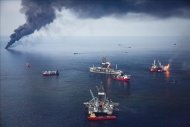 Una humareda se levanta el 19 de junio de 2010 sobre la superficie del mar en el Golfo de México, producto del petróleo acorralado y quemado cerca de la zona donde se hundió la plataforma petrolera de la empresa británica BP y que causó el mayor vertido de petróleo en la historia de Estados Unidos. EFE/Bevil KnappCAYO HUESO (ESTADOS UNIDOS.- Fotografía tomada el 15 de agosto de 2010 que muestra un ejemplar de coral de fuego (Millepora alcicornis) en el arrecife de Looe al norte de Cayo Hueso en Florida (Estados Unidos). En él se comprueba los impactos del petróleo y los dispersantes químicos en el ecosistema, a raíz del derrame de crudo de la plataforma de la British Petroleum (BP) en el Golfo de México. EFE/Todd Warshaw/Greenpeace/SOLO USO EDITORIALPENSACOLA (EE.UU.), 5/6/2010.- Imagen de un ave muerta en Pensacola Beach, en Florida, por el escape de crudo en el pozo Deepwater Horizon de la petrolera BP en el Golfo de México. . EFE/Dan Anderson