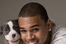 Berkelahi, Tangan Chris Brown Luka Parah