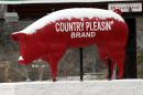 A store's hog mascot is crusted with snow and ice in Florence, Miss., Tuesday, Jan. 28, 2014 as ice and snow flurries blanket the state. A severe winter storm hit the South bringing ice, snow and below freezing temperatures. (AP Photo/Rogelio V. Solis)