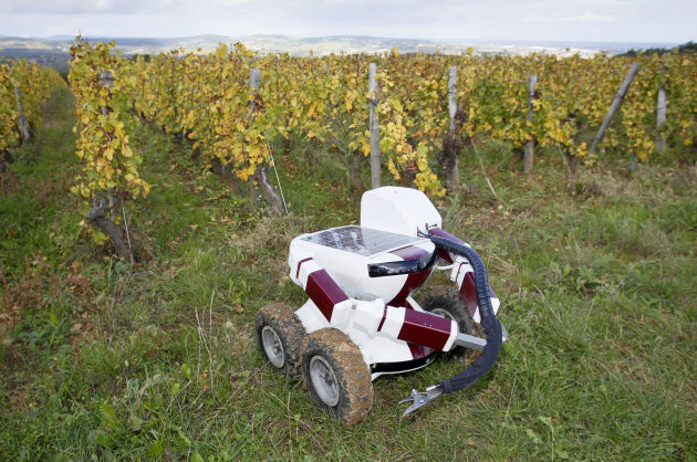 The Wall-Ye prototype, a robot designed to prune vines, is seen  in the Pouilly Fuisse vineyard during a press presentation near Macon