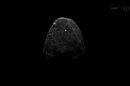 Scientists discover asteroid passing Earth has satellite