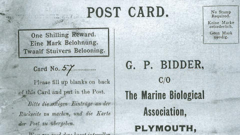 This is an image of a message that was found in a bottle from the The Marine Biological Association of the UK made available on Friday Aug. 21 2015.  The  century-old message in a bottle, possibly the oldest ever found, has finally reached its destination. Tossed into the North Sea sometime between 1904 and 1906, the bottle washed up on the beach in the German town of Amrum, and was found by a couple in April. Inside they found a postcard asking that it be sent to the Marine Biological Association of the U.K., which they did. (Marine Biological Association of the U.K. via AP) ONE TIME USE ONLY NO ARCHIVE  MANDATORY CREDIT.
