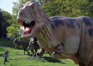 اظهرت دراسة علمية نشرت الاربعاء ان حيوانات البراكيوصور الضخمة كانت اقل وزنا مما هو معروف عنها وأن وزنها يبلغ 23 طنا "فقط"، وذلك بحسب طريقة جديدة في الحساب