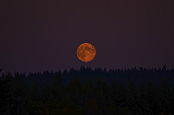 Blue Moon Wows Observers Around the World (Photos)
