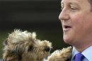 Britain's Prime Minister David Cameron, holds Bertie, a nine-month-old Yorkshire Terrier, during his visit to Battersea Dogs and Cats Home in London