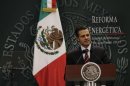 Mexican President Nieto gives a speech during his proposal for energy reforms at Los Pinos presidential residence in Mexico City