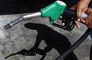 A customer uses a petrol nozzle to fill up his tank in a gas station in Nice