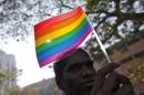 A participant holds a rainbow flag during Queer Azadi Mumbai 2011 in Mumbai