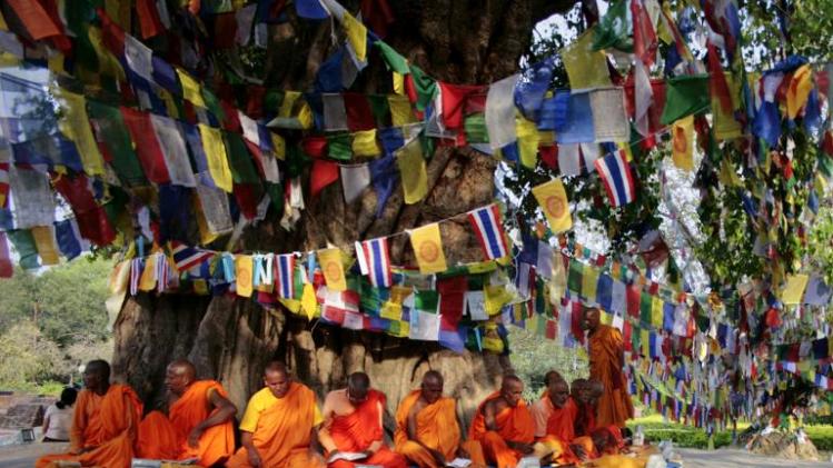 Monks chant under the Bodhi tree, adjacent to the Maya Devi Temple, in Lumbini, some 200 km west of Kathmandu, on April 18, 2013