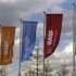 Flags of the German chemical company BASF are pictured in Monheim