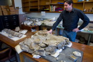 Jim Holstein, cercetător la Muzeul Filed Chicago, este cel care a descoperit fosilele (Sursa: Getty Images)