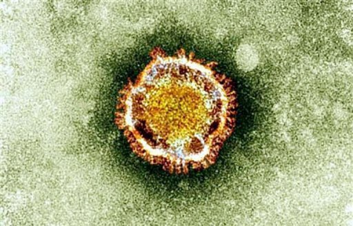 O coronavírus, observado a partir de um microscópio