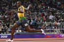 De grandes similitudes entre Usain Bolt et le guépard