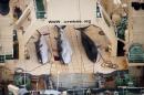 FILE - In this file photo taken on Sunday, Jan. 5, 2014 and supplied by Sea Shepherd Australia on Monday, Jan. 6, 2014, three dead minke whales lie on the deck of the Japanese whaling vessel Nisshin Maru, in the Southern Ocean. The International Court of Justice is ruling Monday on Japan's whaling program in Antarctic waters, in a case brought by Australia. Japan hunts around a thousand mostly minke whales annually in the icy waters of the Southern Ocean as part of what it calls a scientific program. Australia and environmental groups say the hunt serves no scientific purpose and is just a way for Japan to get around a moratorium on commercial whaling imposed by the International Whaling Commission in 1986. (AP Photo/Tim Watters, Sea Shepherd Australia) EDITORIAL USE ONLY, NO SALES