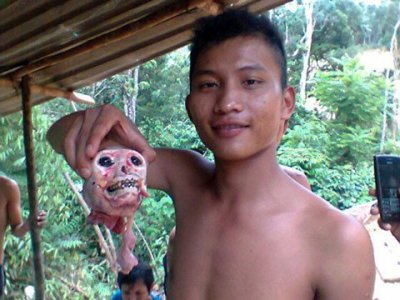 Hung thủ giết khỉ man rợ đã bị vạch mặt Vooc2