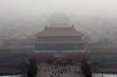 Visitors gather near an entrance to the Forbidden city during a very hazy day in Beijing Sunday, Jan. 13, 2013. People refused to venture outdoors and buildings disappeared into Beijing's murky skyline on Sunday as the capital's air quality went off the index. (AP Photo/Ng Han Guan)