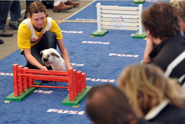 First European Rabbit Hopping Championships