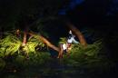Indian men try to get a motorbike through trees knocked down by heavy rain in Berhampur, about 180 kilometres south from eastern city Bhubaneswar on October 12, 2013