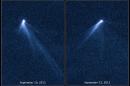 This combination of Sept. 10 and 23, 2013 photos provided by NASA shows six comet-like tails radiating from a body in the asteroid belt, designated P/2013 P5. The Hubble Space Telescope discovered it in the asteroid belt between the orbits of Mars and Jupiter. A research team led by the University of California at Los Angeles believes the asteroid is rotating so much that its surface is flying apart. It's believed to be a fragment of a larger asteroid damaged in a collision 200 million years ago. (AP Photo/NASA, ESA, D. Jewitt - UCLA)