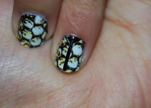 Nail Rocks python nails manicure x factor v gap