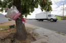 A makeshift memorial on a tree is shown, Thursday, Aug. 29, 2013, in Phoenix. An 8-year-old boy was driving his mother's car on a nighttime joyride with his 6-year-old sister when it crashed into a telephone pole, behind the tree, fatally injuring the girl, police said Thursday. (AP Photo/Matt York)