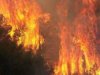 Αλβανία: Δεκαπέντε δασικές πυρκαγιές σε όλη τη χώρα