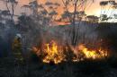 A New South Wales Rural Fire Service volunteer puts out a fire in the town of Bell, Australia, on Sunday, Oct. 20, 2013. Firefighters battling some of the most destructive wildfires to ever strike Australia's most populous state were focusing on a major blaze Sunday. Authorities warned that high temperatures and winds were likely to maintain heightened fire danger for days. (AAP Image/Paul Miller) NO ARCHIVING, AUSTRALIA OUT, NEW ZEALAND OUT, PAPUA NEW GUINEA OUT, SOUTH PACIFIC OUT, NO SALES