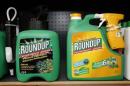 Monsanto's Roundup weedkiller atomizers are displayed for sale at a garden shop at Bonneuil-Sur-Marne near Paris
