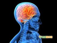衛福部新營醫院急診科侯承佑醫師表示，頭部外傷是門診中最常見的主訴之一，而造成腦震盪的原因更是五花八門，至於頭部外傷中，「腦出血｣才是最該擔心的問題。
