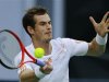 Murray of Britain hits a return to Stepanek of the Czech Republic during their men's singles quarterfinals tennis match at the Shanghai Masters tournament